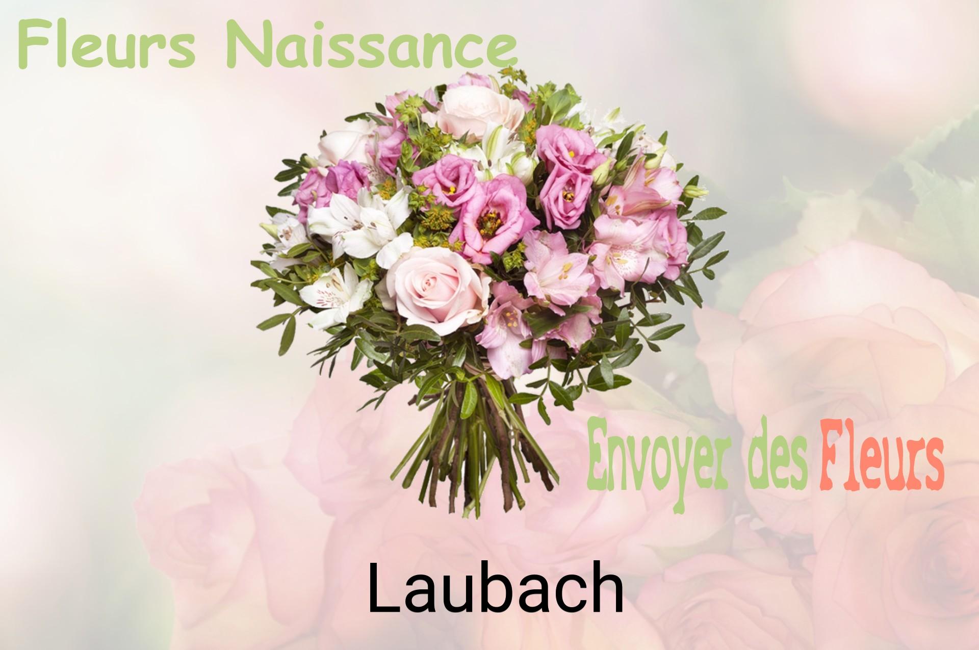 Bouquet de fleurs de naissance livré à Laubach